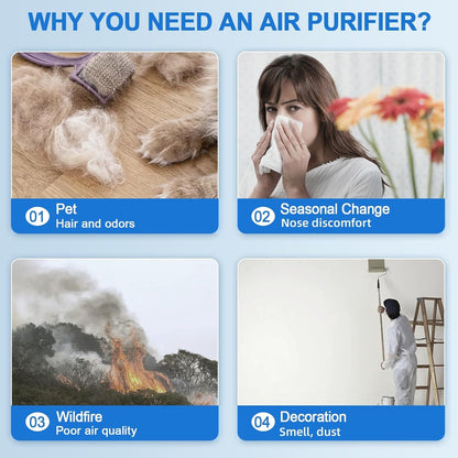 Purificateur d'air